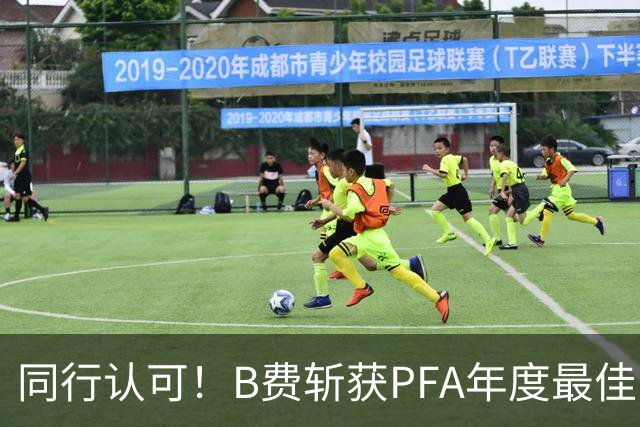 同行认可！B费斩获PFA年度最佳，成为C罗之后葡萄牙第二人