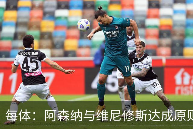 每体：阿森纳与维尼修斯达成原则协议，将给出一份天价报价