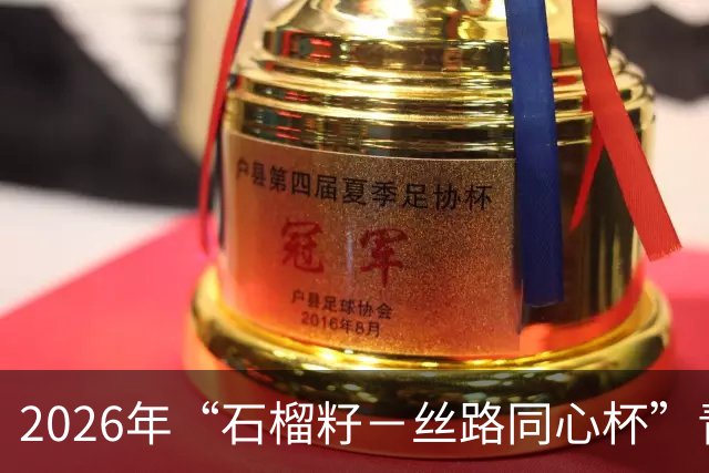 2026年“石榴籽－丝路同心杯”青少年足球邀请赛即将开赛